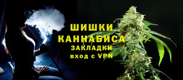 твердый Инсар
