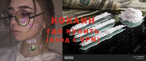 твердый Инсар