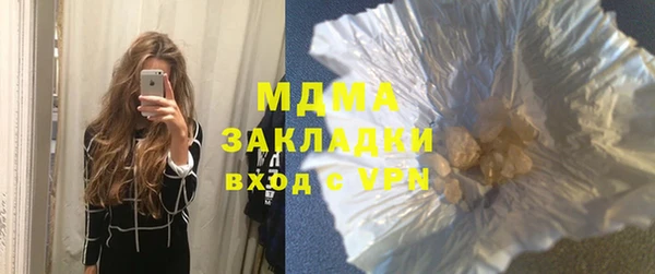 индика Инта