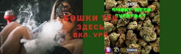 индика Инта