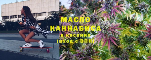 индика Инта