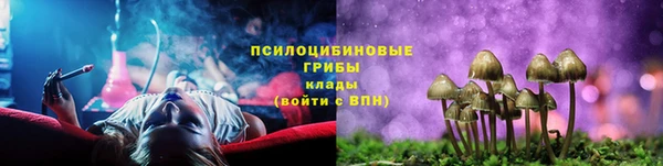 твердый Инсар