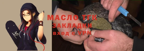 индика Инта