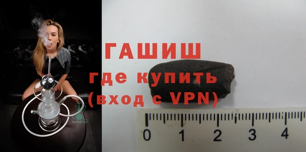 индика Инта