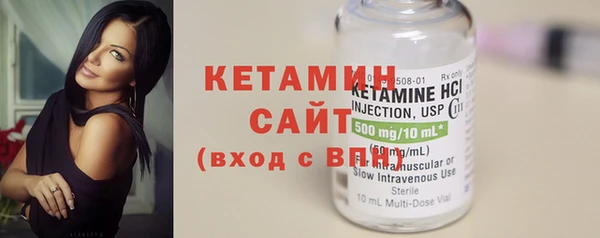 индика Инта