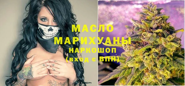 твердый Инсар