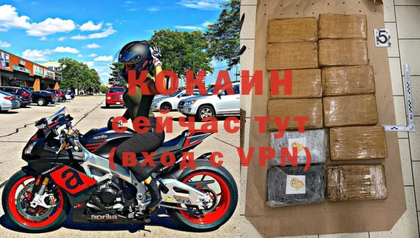 твердый Инсар