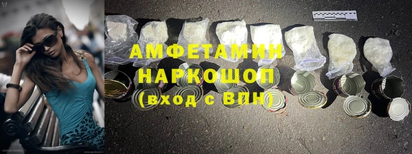 твердый Инсар
