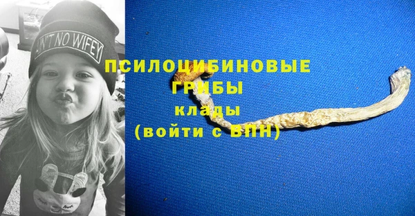 индика Инта