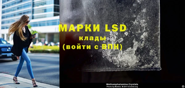 индика Инта