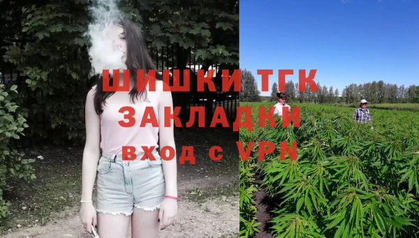 твердый Инсар