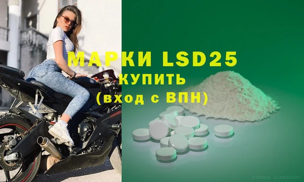 твердый Инсар
