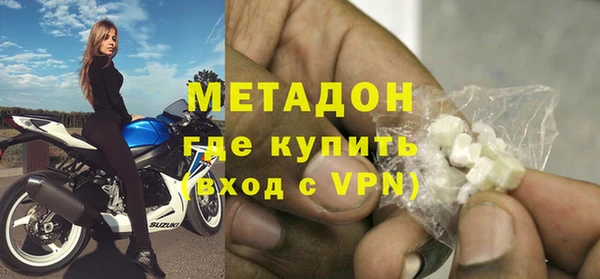 индика Инта