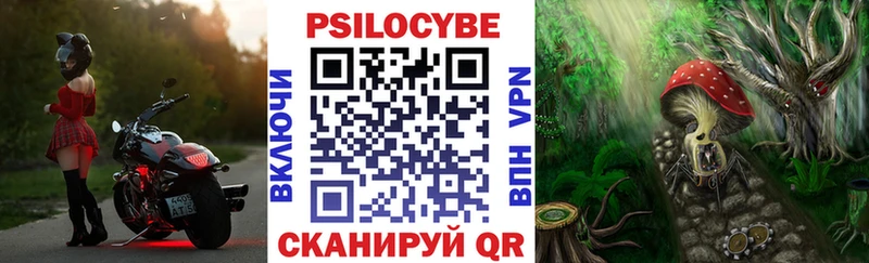 Купить где  Гороховец  Галлюциногенные грибы GOLDEN TEACHER 